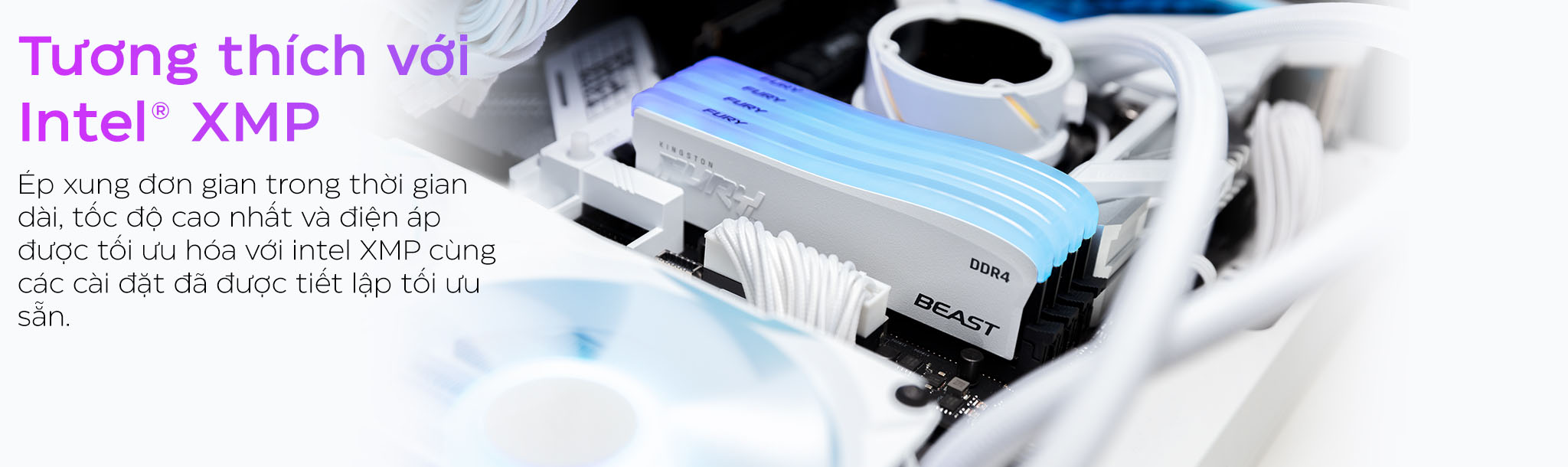 Ram Desktop Kingston Fury Beast White RGB